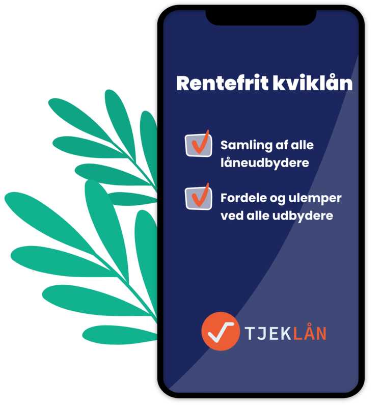 1. Rentefrit kviklaan.jpg